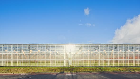 Modern greenhouse