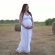Beautiful Pregnant Woman in Wheat Field with Haystacks at Summer Day - VideoHive Item for Sale