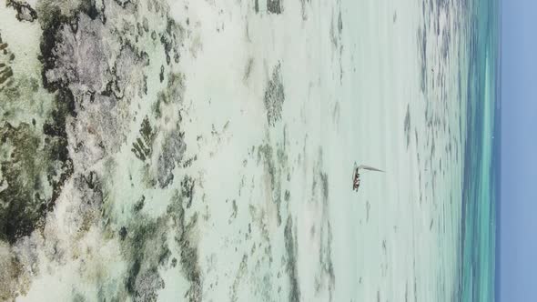 Zanzibar Tanzania  Vertical Video of Low Tide in the Ocean Near the Coast Slow Motion