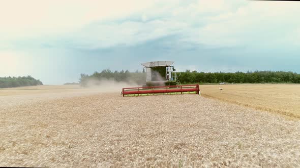 Agricultural Combines Harvesting Wheat On The Big Field.