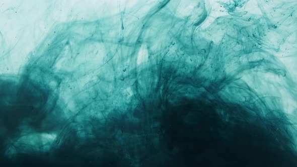 Dark Green Ink Dissipating In Water On A White Background alt