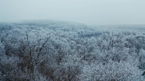 Nature in winter