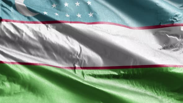 Uzbekistan textile flag waving on the wind. 10 seconds loop.