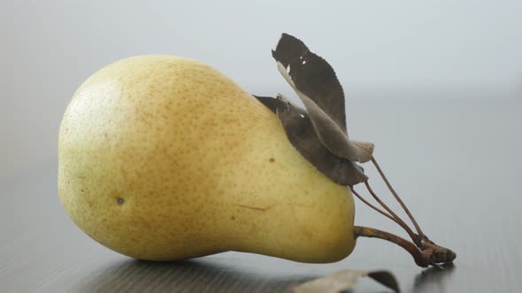 Organic pear with peduncle on the table 4K 2160p UltraHD tilting footage - Single fruit from genus P