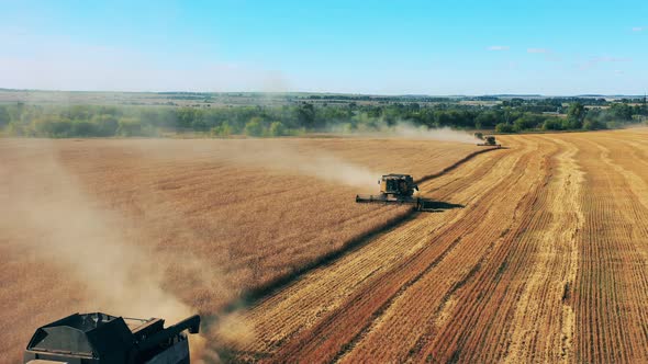 Top View of Multiple Combines Reaping Rye in the Field