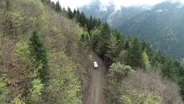 Car Following on Forest