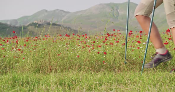 Man and Woman Hiking Using Trekking poles.Nordic Walking Outdoor on a Trail Path Near Flower Fields