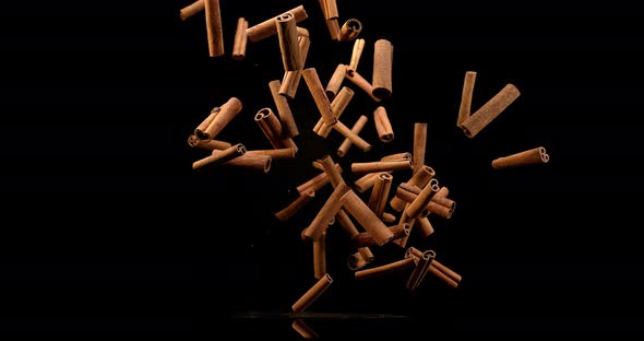 Cinnamon sticks, cinnamomum zeylanicum, spice falling against Black Background, Slow Motion 4K