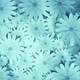 Spinning Chamomiles Blue Background - VideoHive Item for Sale