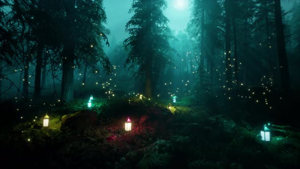 Forest With Lanterns In Moon Light 4K