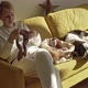 Woman Knitting Needles on the Couch Next to the Lying Dog - VideoHive Item for Sale