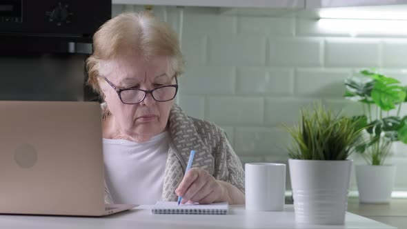 Senior Woman in Glasses Working Using Laptop with Serious Face at Home