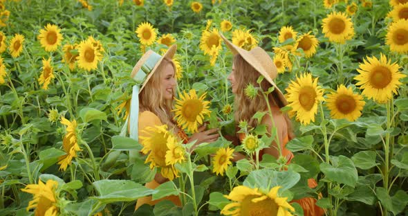 Two Blondes are Photographed in Sunflowers