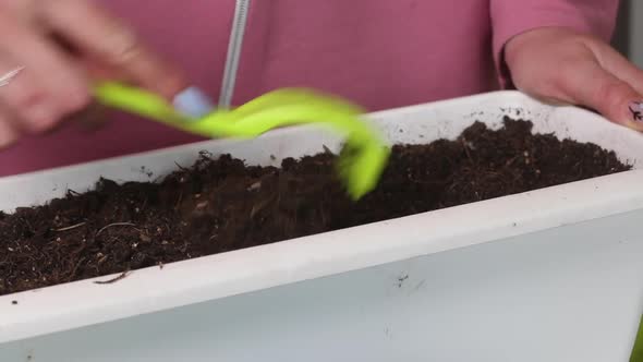 A Woman Will Plow Up The Earth In A Garden Pot. For Transplanting Seedlings. Garden In The Apartment