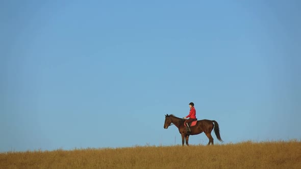 Woman on a Horse Outdoors in the Field