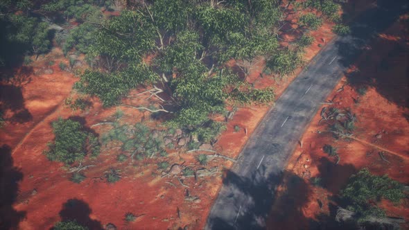 Aerial Shot of Road Snaking Through Green Trees