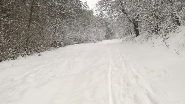 Snow on the forest road by January 4K drone video