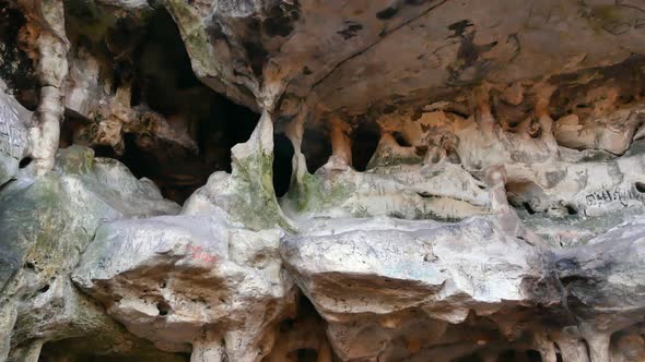 The Cave Grotto in the Forest