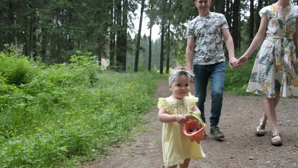 Young Family with a Child Walks in the Forest - a Little Girl Collects Cones in a Bucket