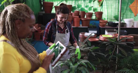 Mature women working inside garden greenhouse using digital tablet