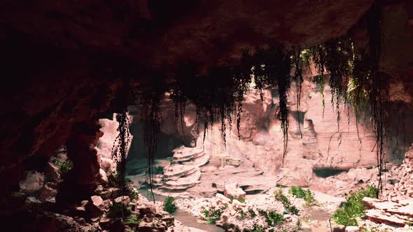 View From Cave to the Light