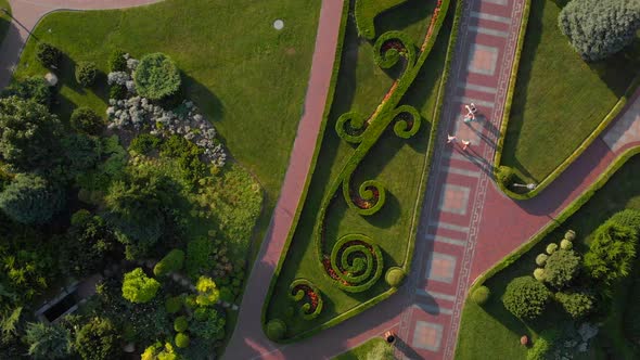 Top View From the Drone To the Garden Park