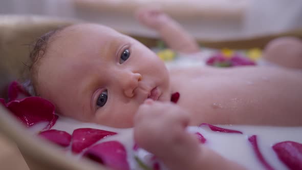 Closeup Charming Beautiful Innocent Infant in Milk Water with Flower Petals