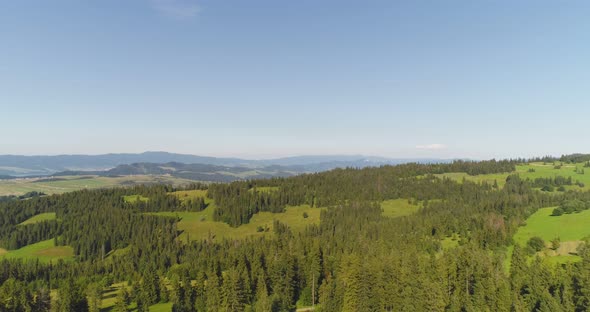 Flying Over the Beautiful Forest Trees. Landscape Panorama.