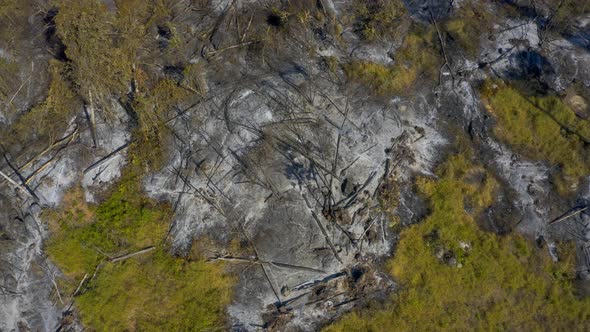 Ascending aerial view reveals the damage to Brazil's Amazon rain forest from bushfires