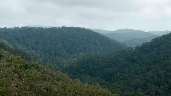 Mountain range at the Otway's National Park, Lorne Australia. Shot from Teddy's Lookout. Clearing da