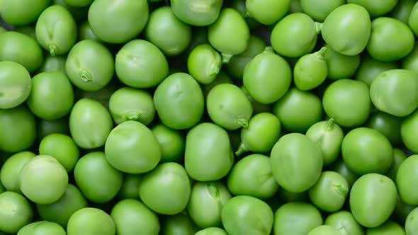 green pea grains rotating slow motion. 360 degree rotation, extreme close.