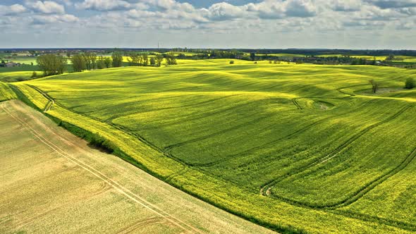 Amazing yellow rape fields and wind turbine in countryside.