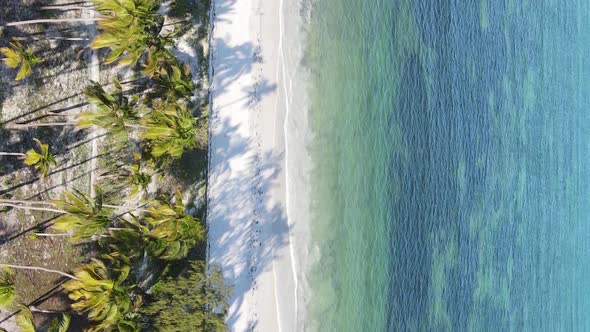 Zanzibar Tanzania  Vertical Video Empty Beach Slow Motion