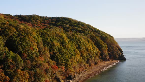 Seashore with Green Yellow Red Tree Crowns in Deciduous Forest in Autumn