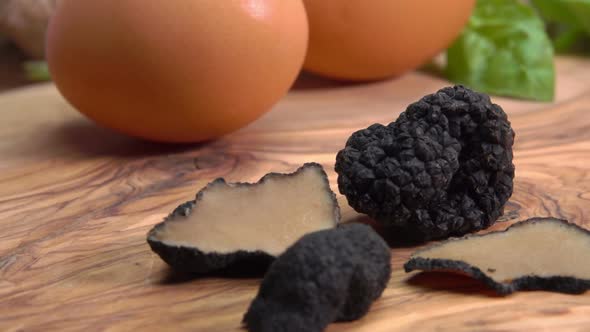  Panoramic View of a Black Truffle Mushroom