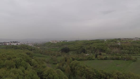 Green Forest and Urban