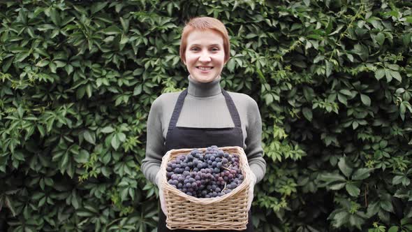 Portrait of Happy Farmer with Grapes Harvest