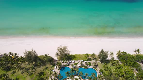 High angle view. The garden and the pool are full of coconut trees on the beach.
