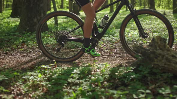 A Cyclist is Riding Along a Forest Path