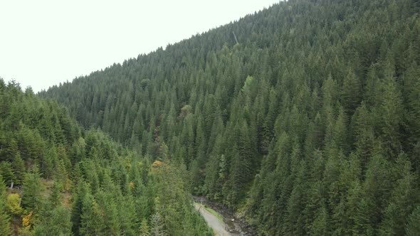 Nature of Ukraine: Carpathian Mountains Slow Motion. Aerial View