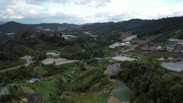 Cameron Highlands, Pahang Malaysia