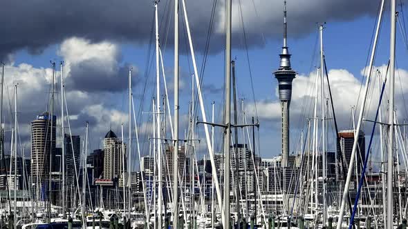 Auckland city of sails