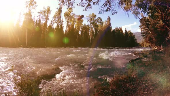 Meadow at Mountain River Bank. Landscape with Green Grass, Pine Trees and Sun Rays. Movement on