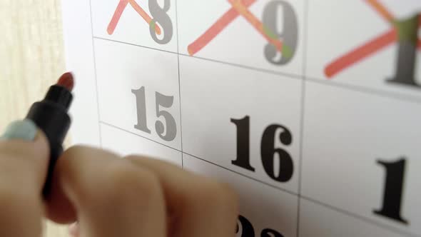 Female Hand Crosses with Red Marker the Calendar Day 15. Slow Motion Shot. Close Up