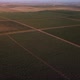 Beautiful Aerial View of Vineyards - VideoHive Item for Sale