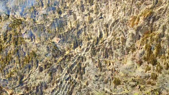 Water Flows Over the Surface of an Old Stone Overgrown with Muloi