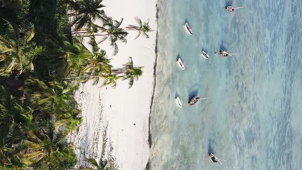 Vertical Video Boats in the Ocean Near the Coast of Zanzibar Tanzania Aerial View