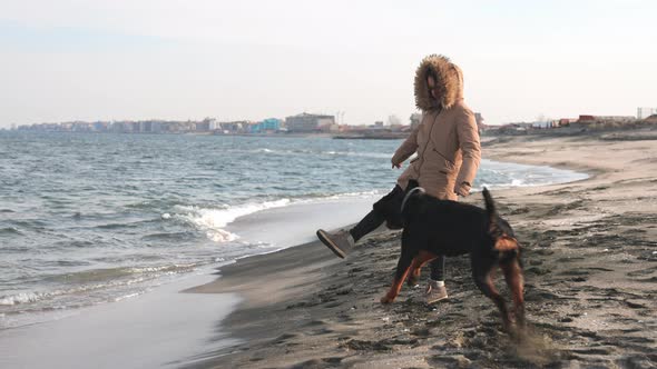 The Hostess in a Jacket Trains Her Dog of the Rottweiler Breed on a Sandy Beach Near the Sea
