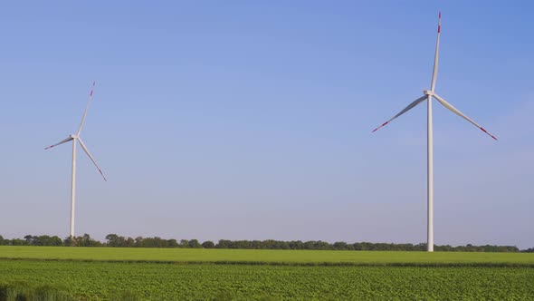 Group of Windmills for Electric Power Production in the Field at Sunset