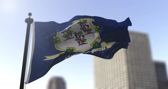 Connecticut state flag waving